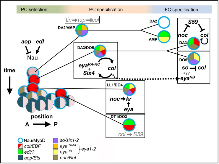 Figure 7.