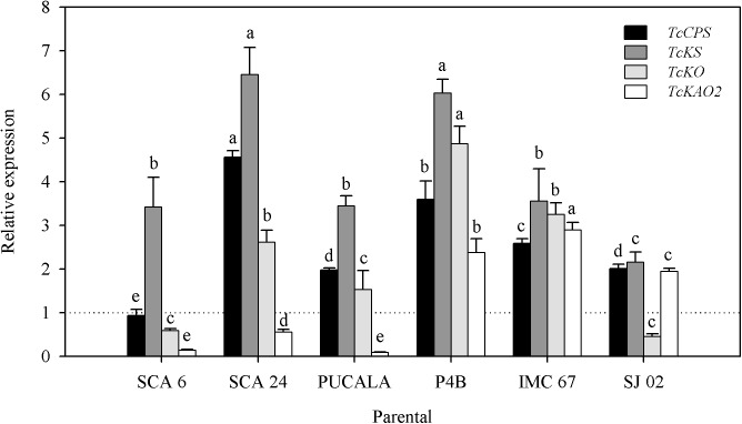 Fig 6