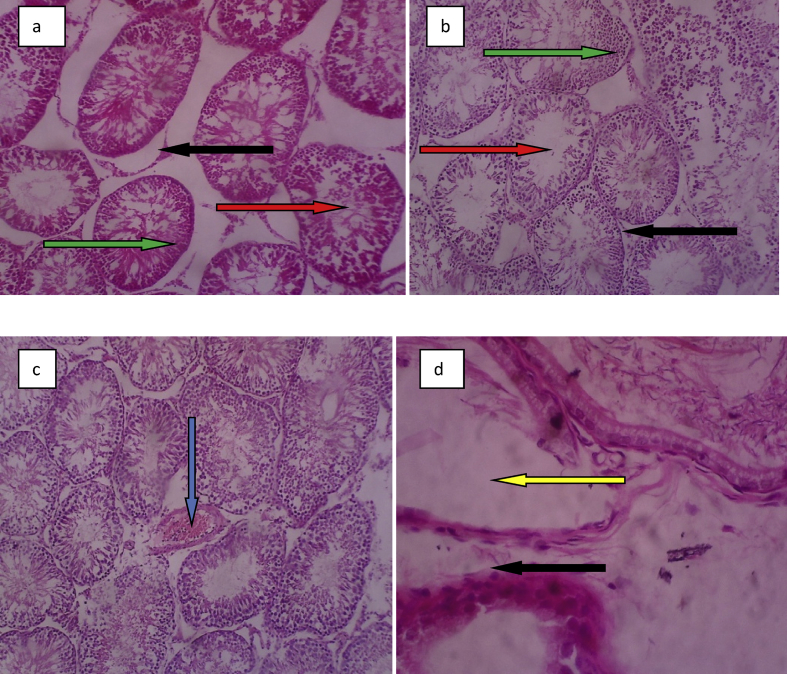 Fig. 8