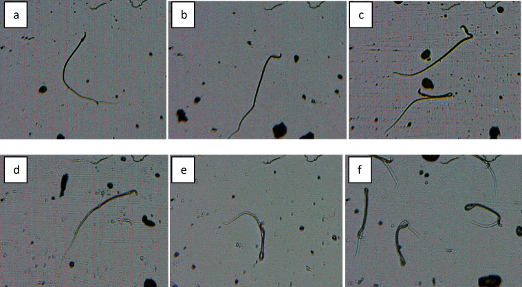 Fig. 6