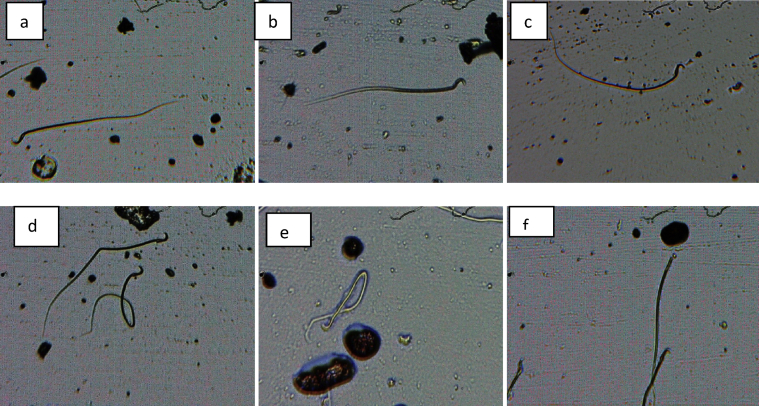 Fig. 4