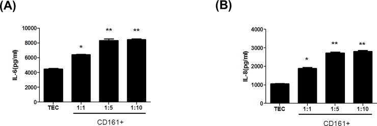 Fig 5