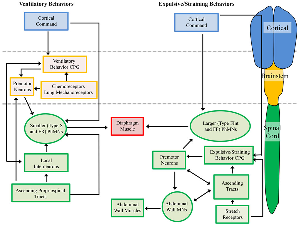 Figure 2: