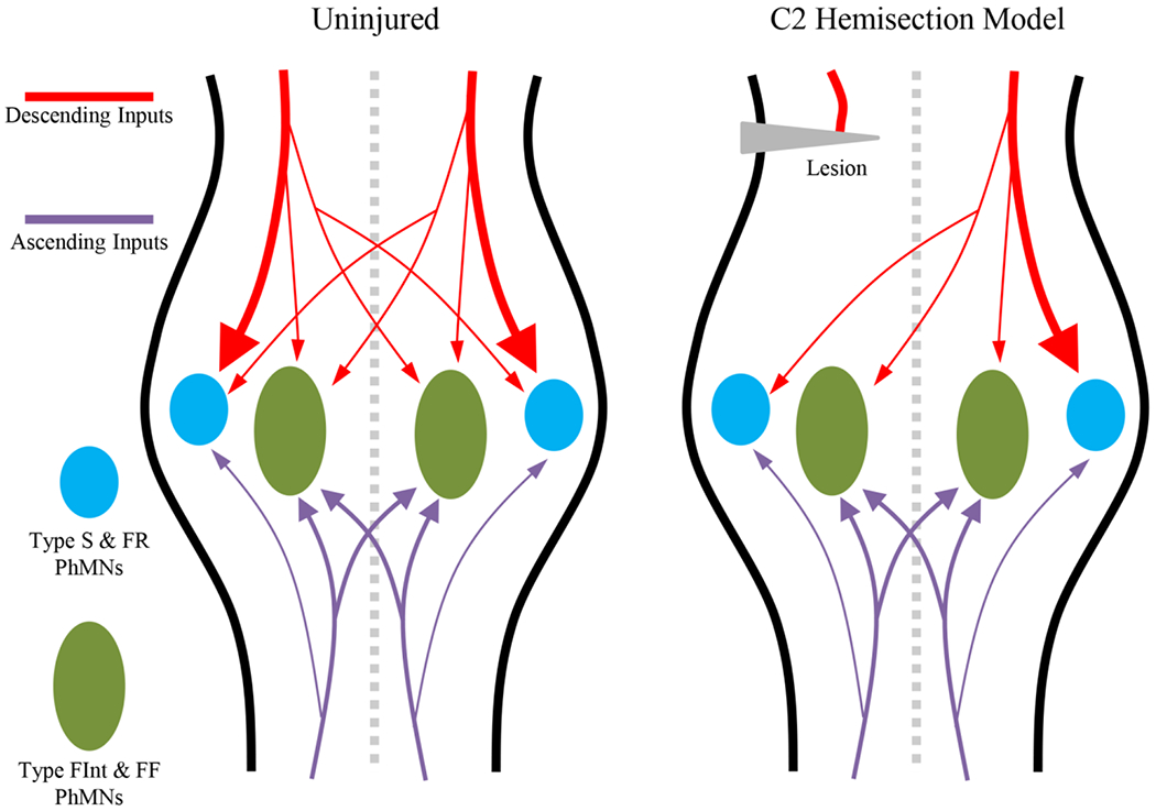 Figure 3: