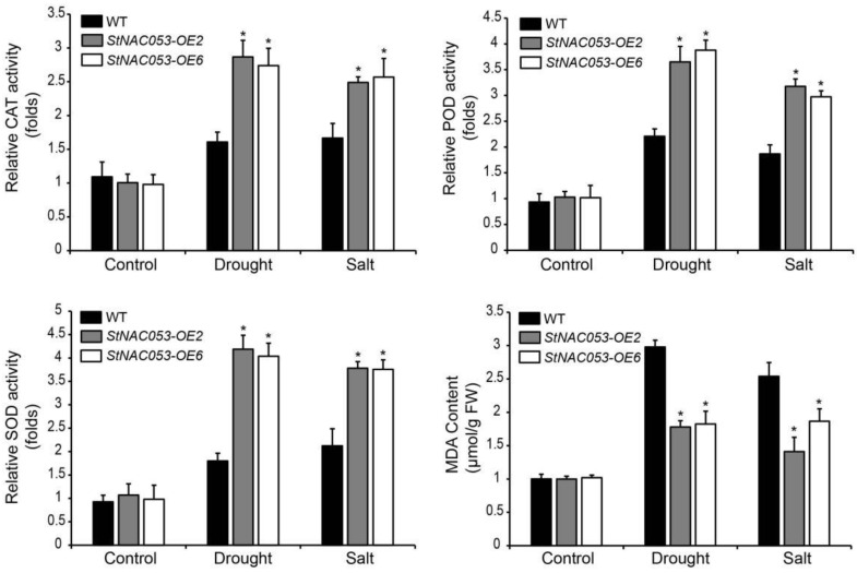 Figure 10