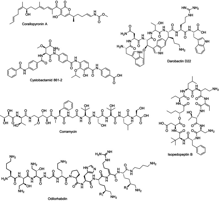 FIGURE 3