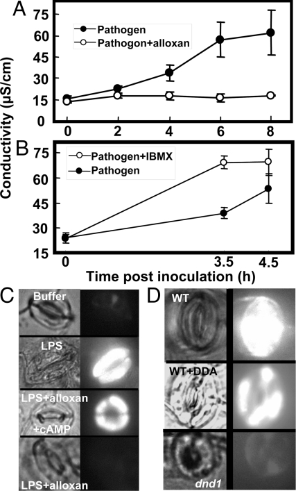 Fig. 4.