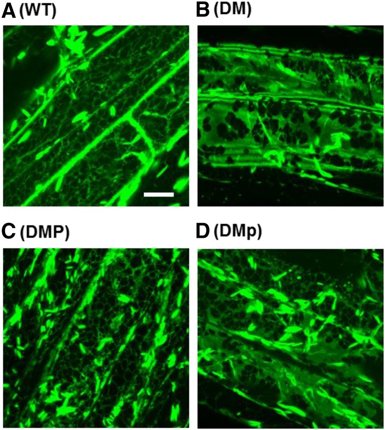 Figure 4.