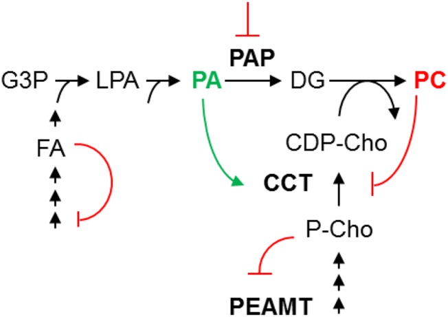 Figure 11.