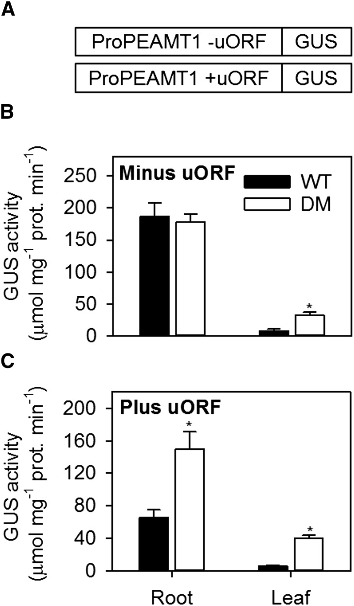 Figure 6.