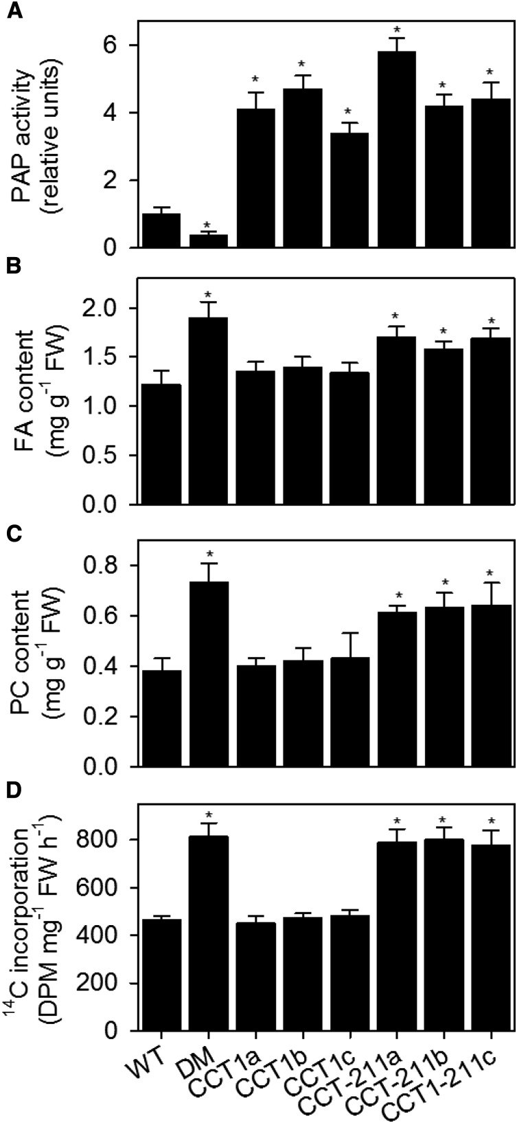 Figure 9.