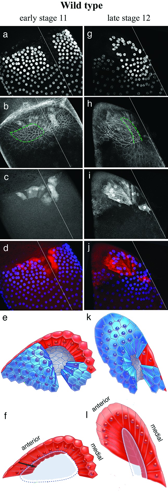 FIG. 5.