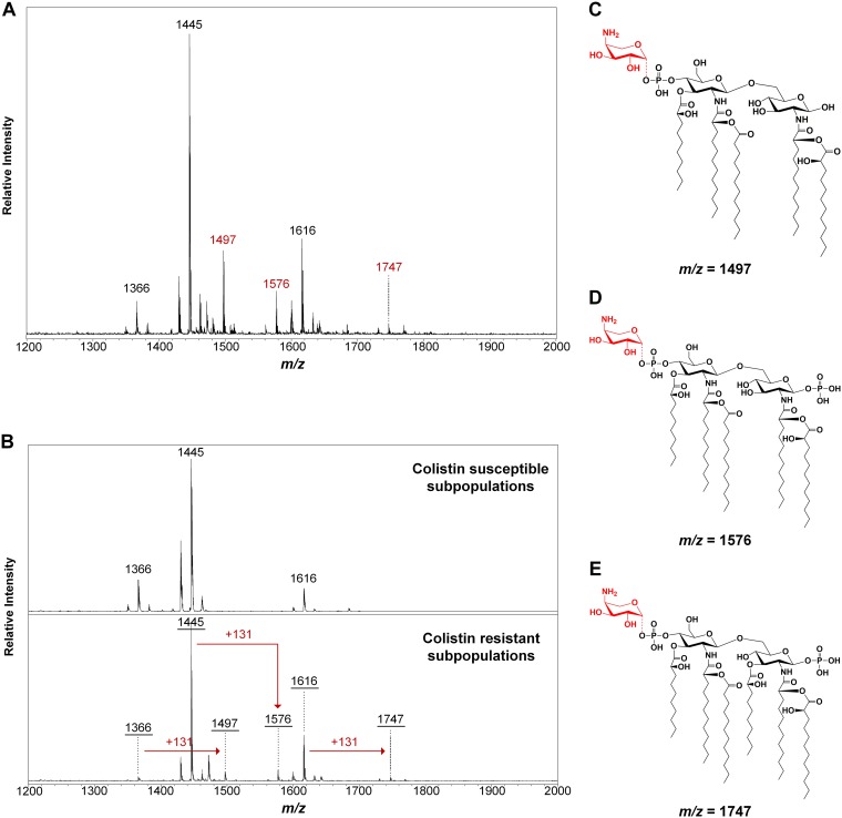 FIG 3