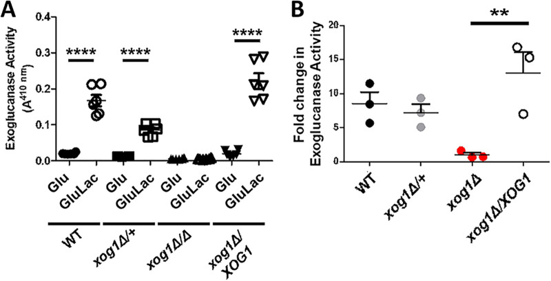FIG 3
