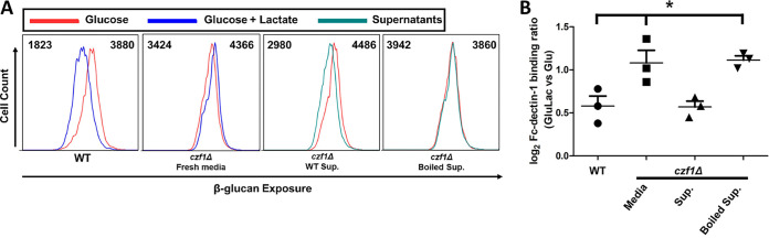 FIG 1