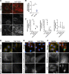 FIG 10