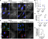 FIG 14