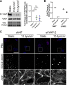 FIG 13