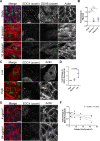 FIG 12