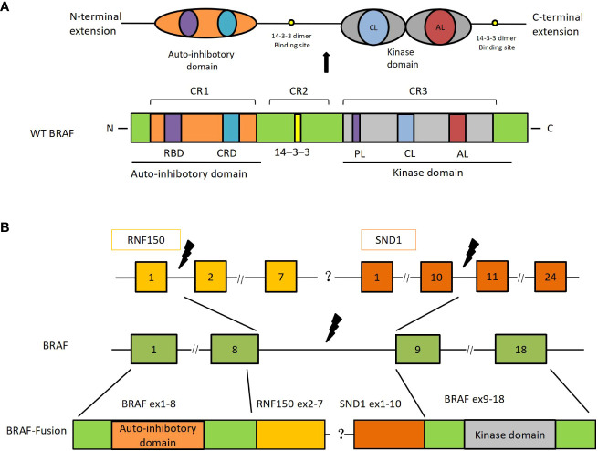 Figure 3