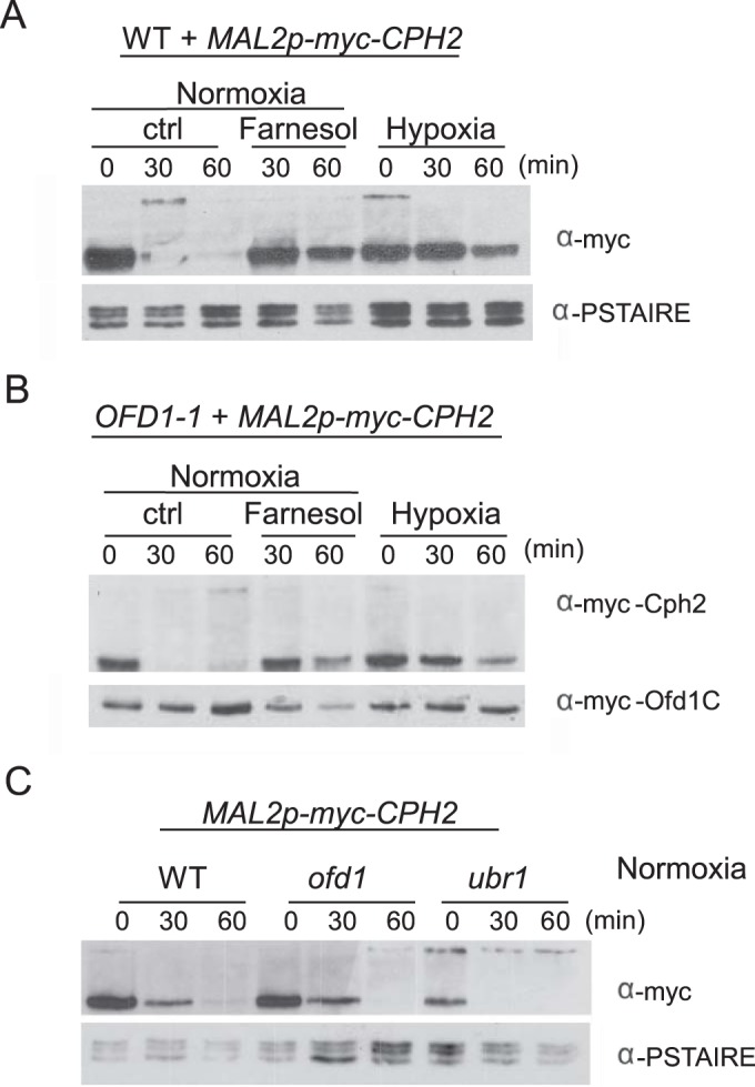 FIG 6