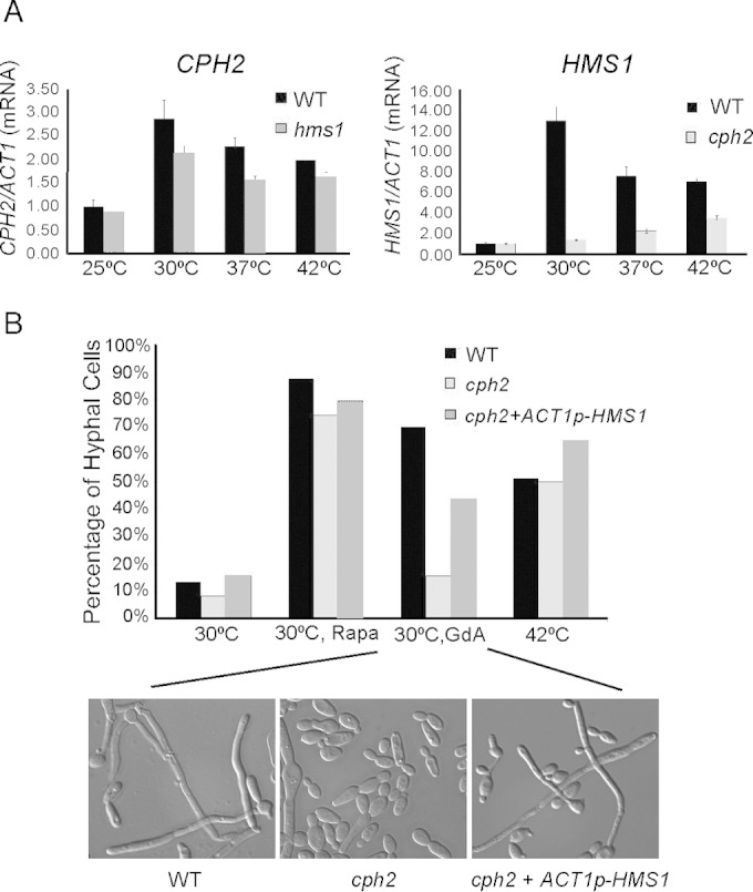 FIG 3