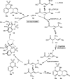 Scheme 6