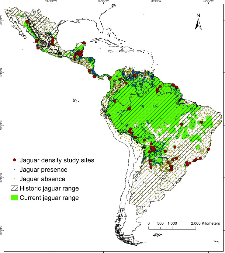 Estimating Large Carnivore Populations At Global Scale Based On Spatial