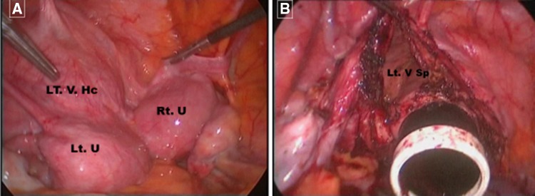 Fig. 4