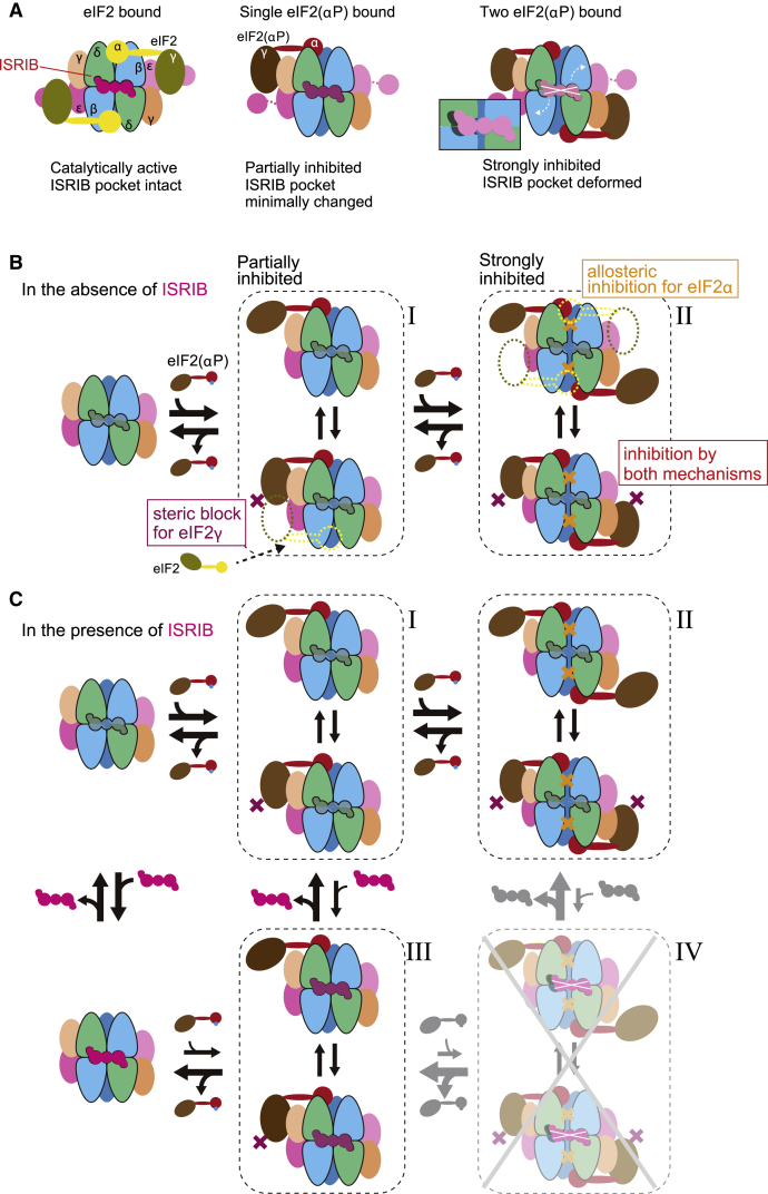 Figure 7