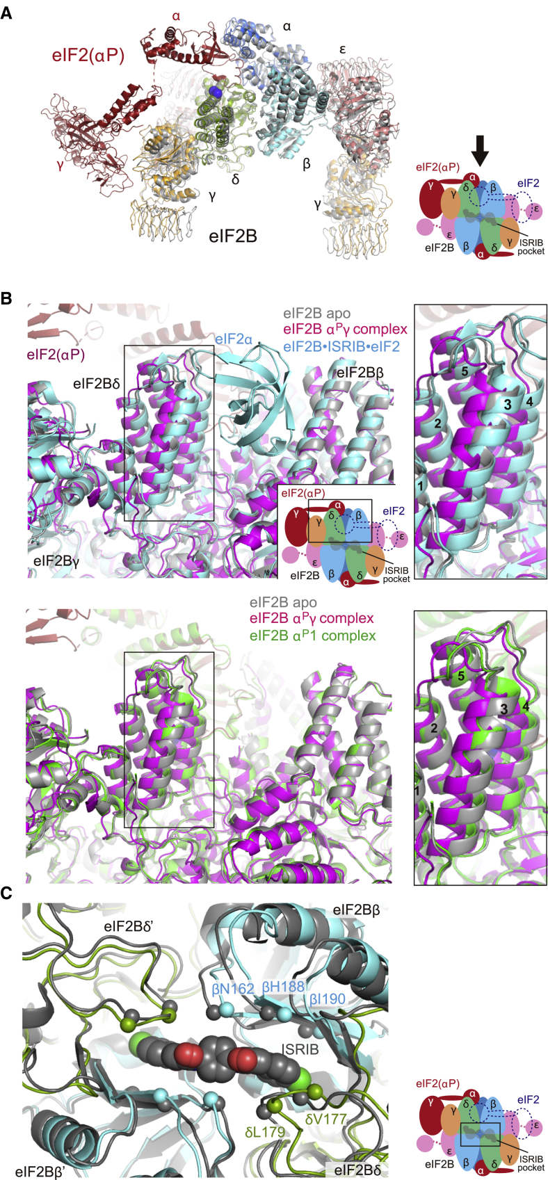 Figure 2