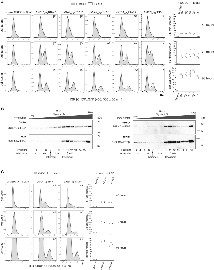 Figure 6