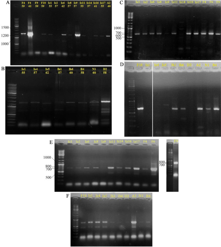 Figure 3.