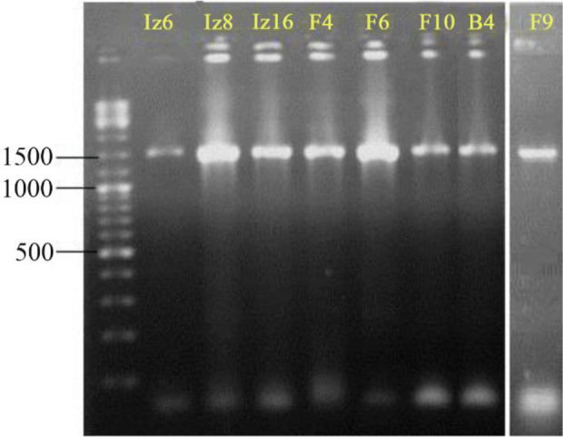 Figure 4.