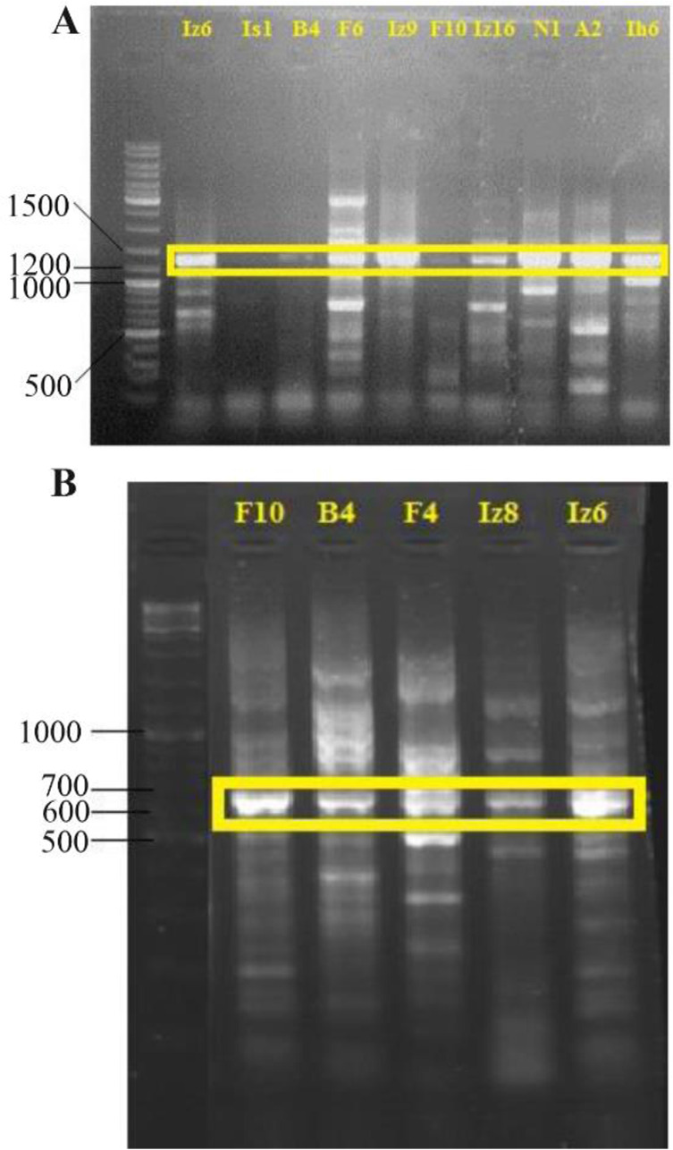 Figure 2.