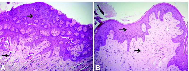 [Table/Fig-8]: