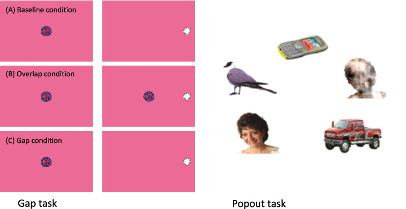 Fig. 2