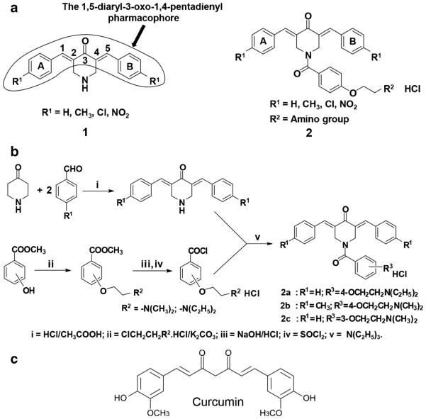 Fig. 1