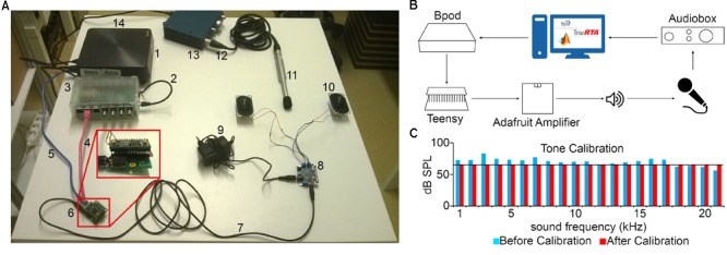 FIGURE 5