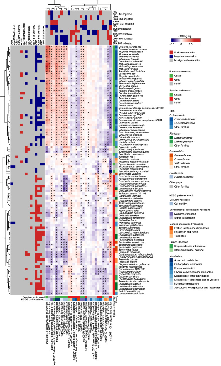 Metagenomic analysis revealed the potential role of gut microbiome in ...