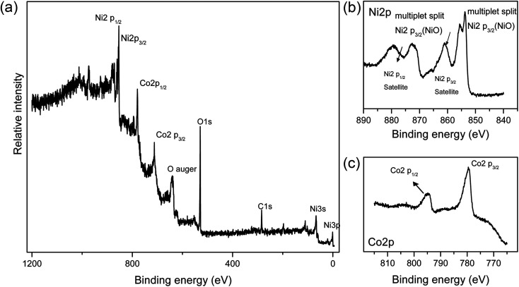 Fig. 4