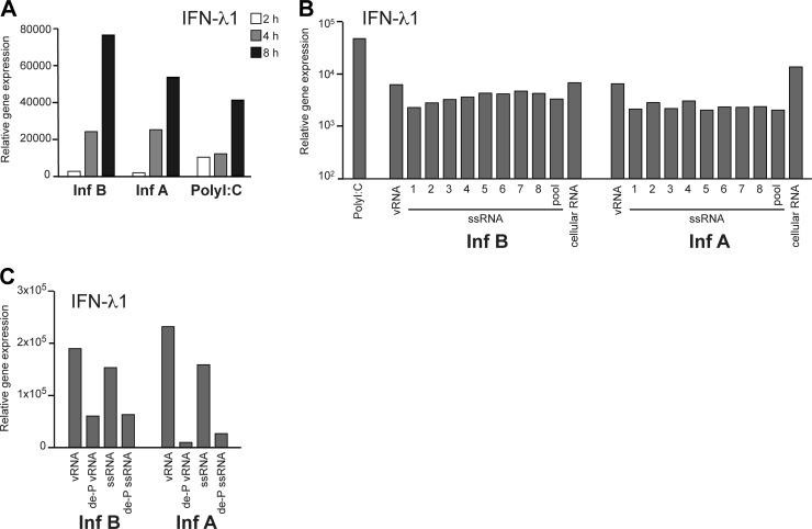 Fig 7