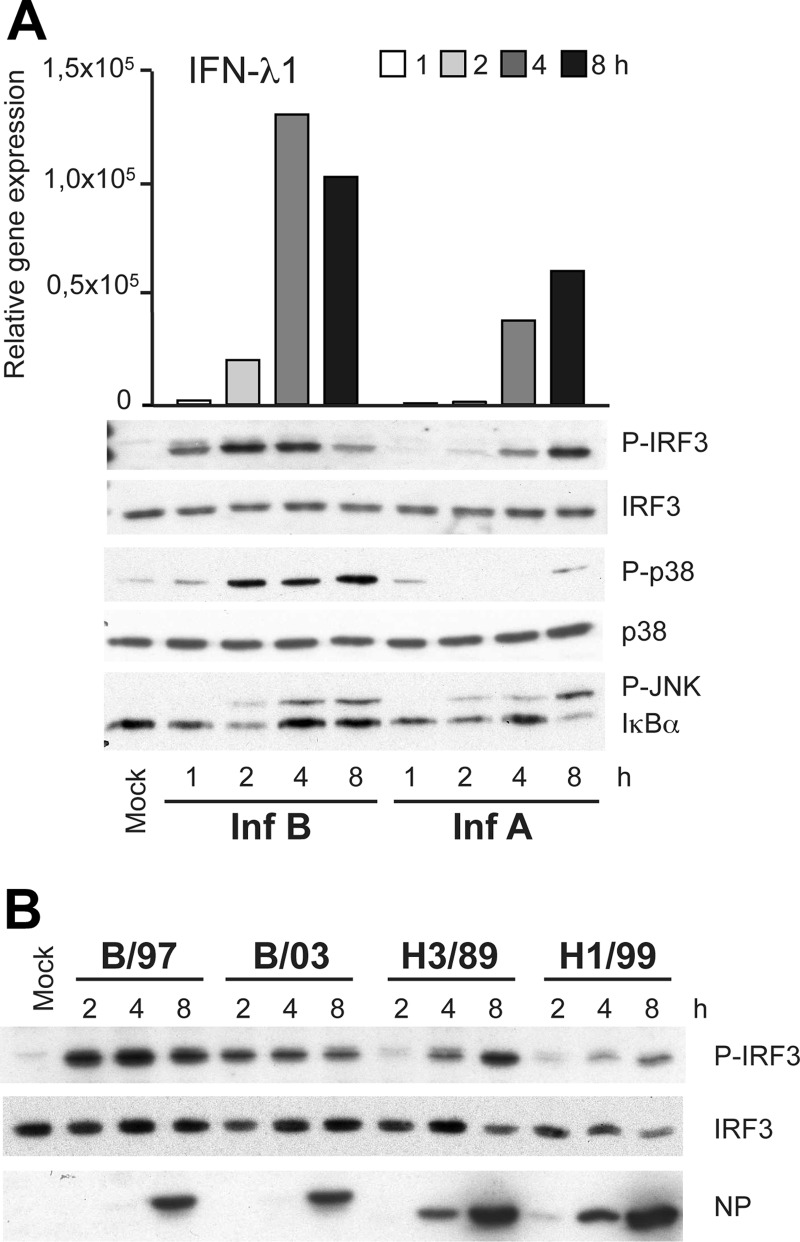 Fig 4