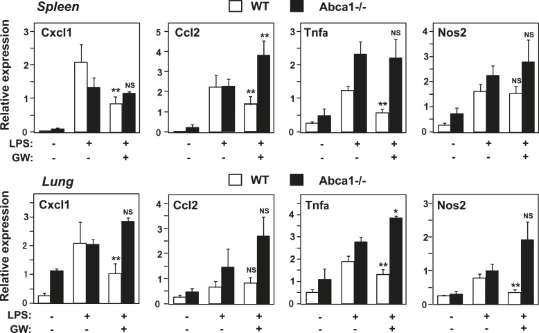 Figure 12.