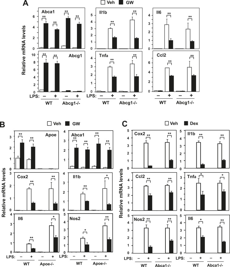 Figure 3—figure supplement 1.