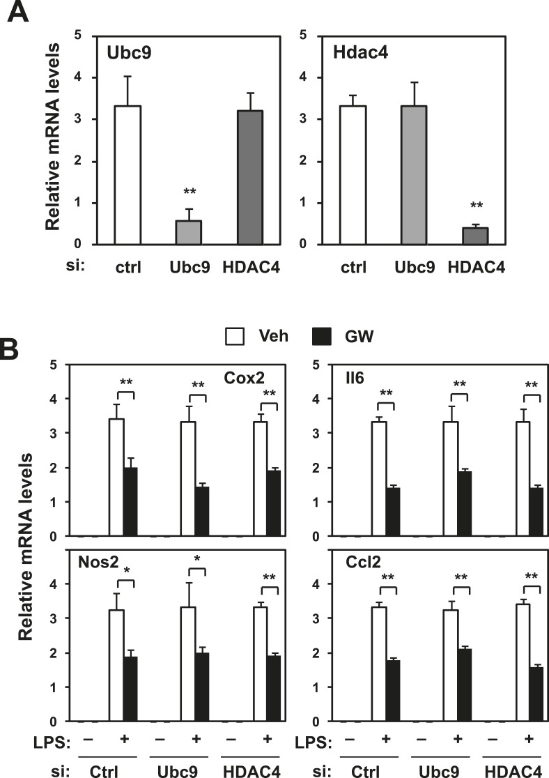 Figure 2—figure supplement 2.