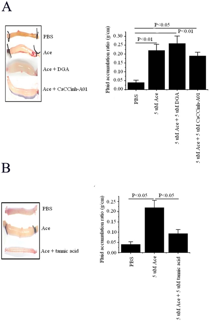 Fig 5