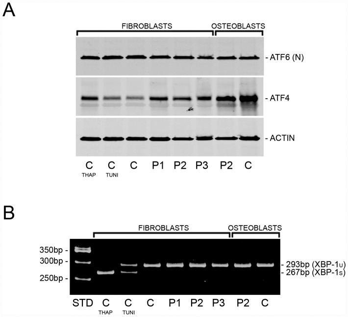 Fig 4