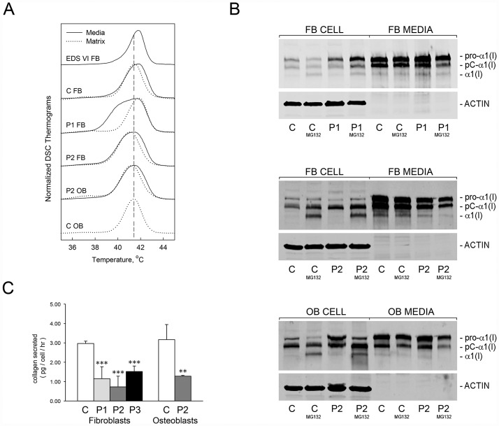 Fig 7