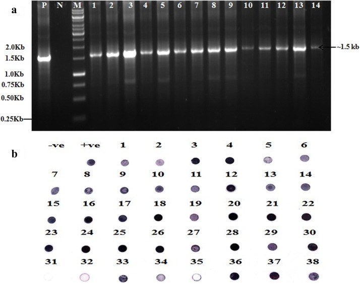 Fig. 2